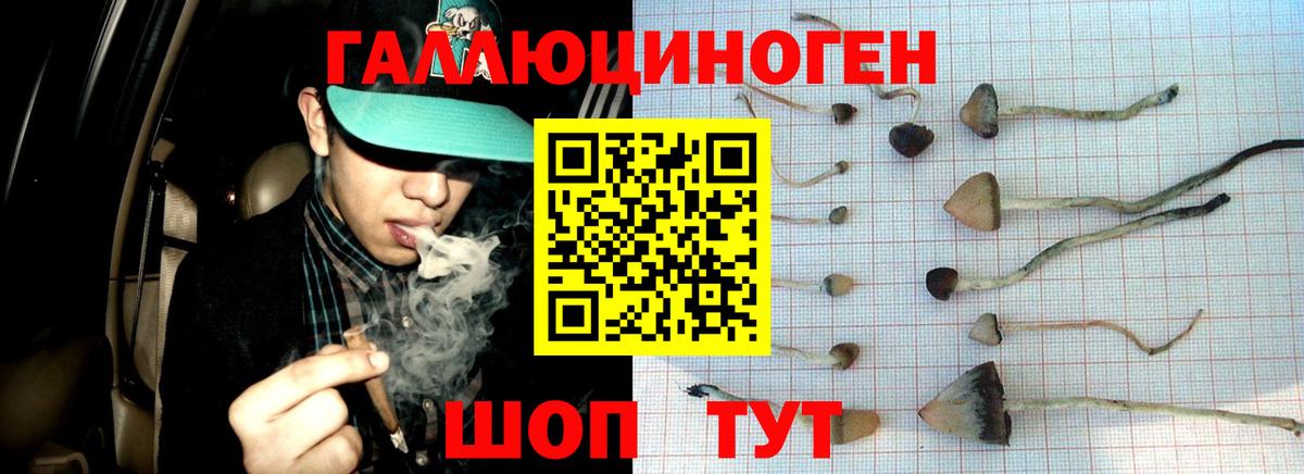 Псилоцибиновые грибы MAGIC MUSHROOMS  Галлюциногенные грибы ЛСД  Кунгур  Вход с VPN 